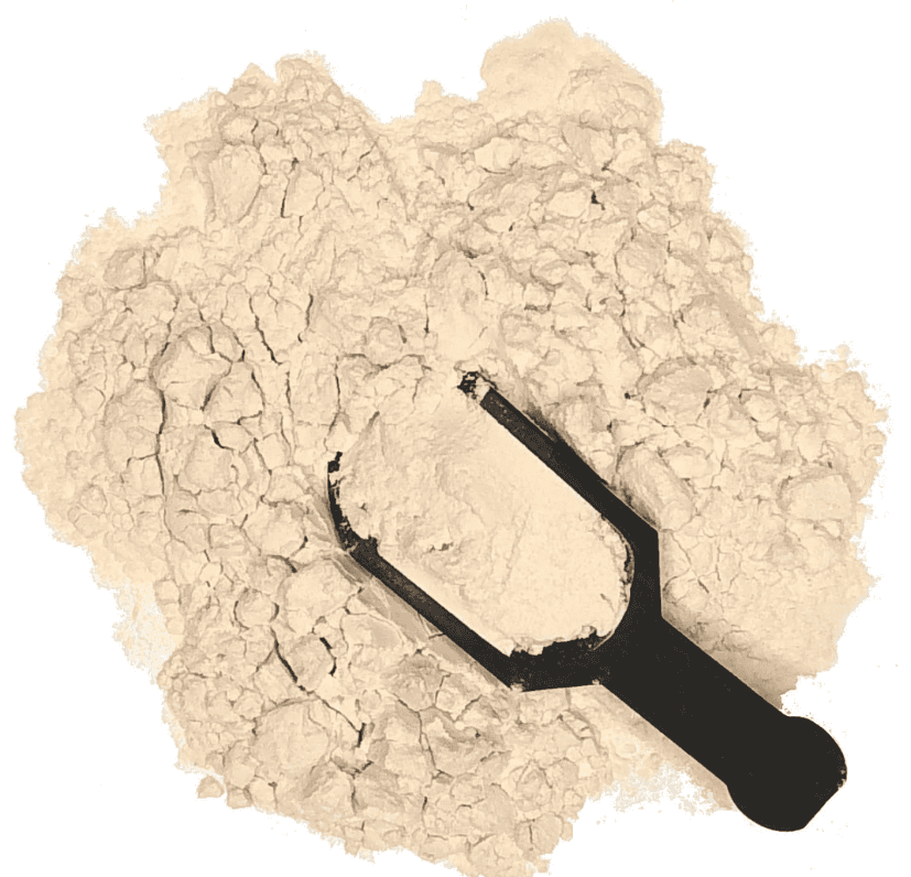 instant soya powder production line (2)