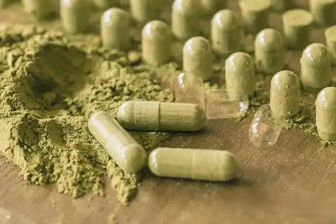 double cone blender for pharmaceutical powder mixing (1)