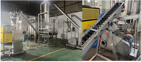 mustard seed powder processing