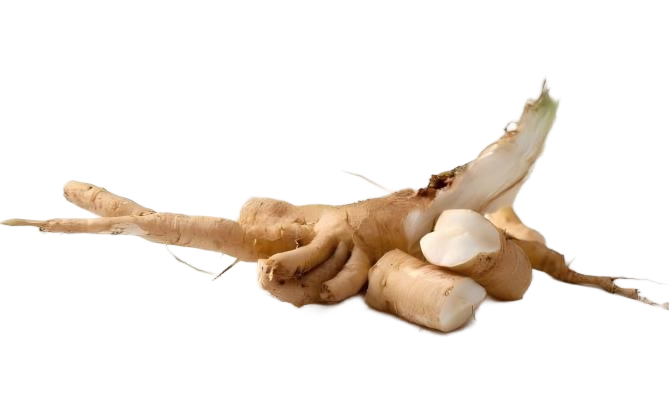 how to choose the right chicory grinding machine for efficient powder production (1)