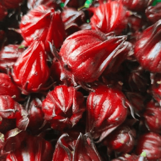 hibiscus powder processing for food and beverage by yinda machinery (1)