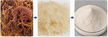 carrageenan powder