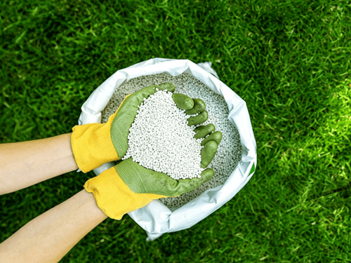 chemical fertilizer