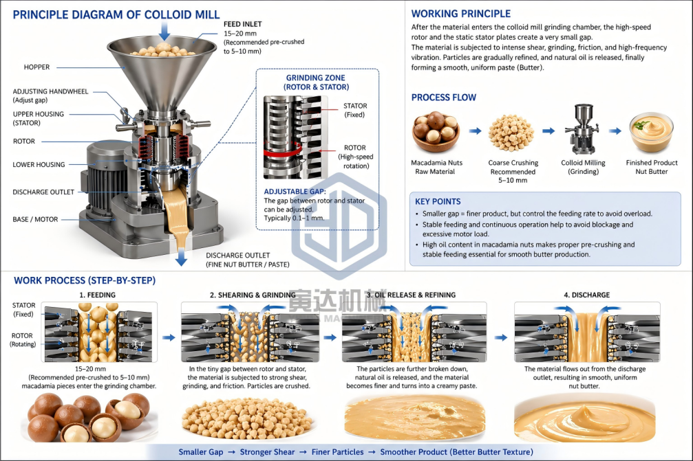 How Does a Colloid Mill Work? | Yinda Machinery